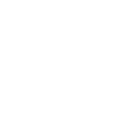 Citizen information icon